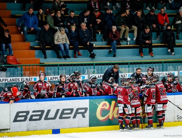 Inför matchen: </br > Boden Hockey vs. Vännäs HC
