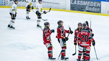 Highlights: Boden Hockey vs. Vännäs HC